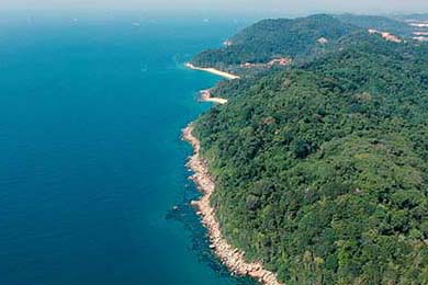 2025年冰雪运动会，冰上飞驰点燃激情，2020冰雪运动会视频